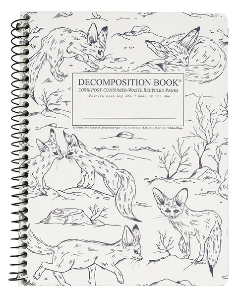 Fennec Foxes Decomposition Book